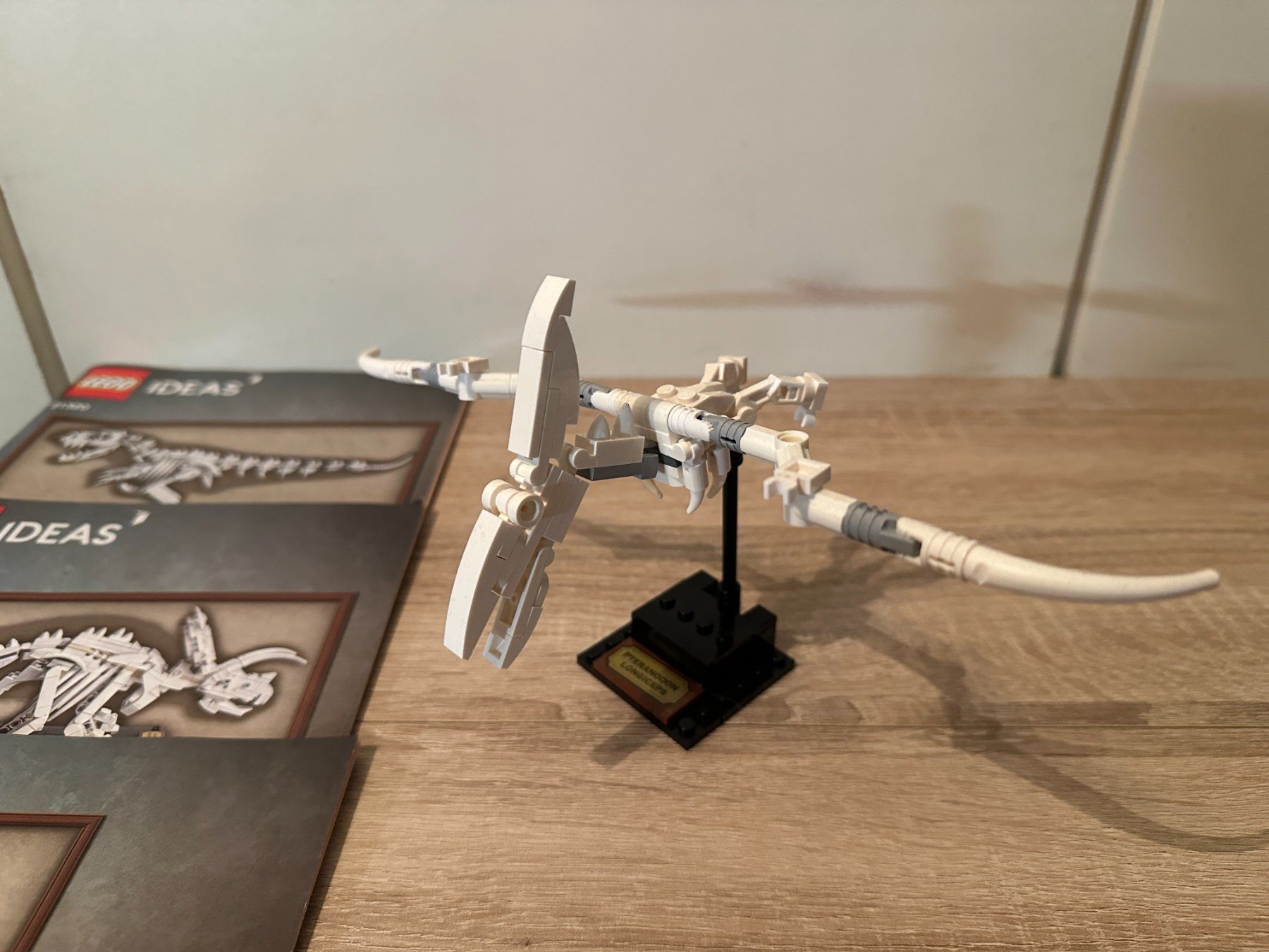 Lego Kit di costruzioni: LEGO 21320 Dinosaur Fossils – Usato da Basel venduto da Don-Angel 7