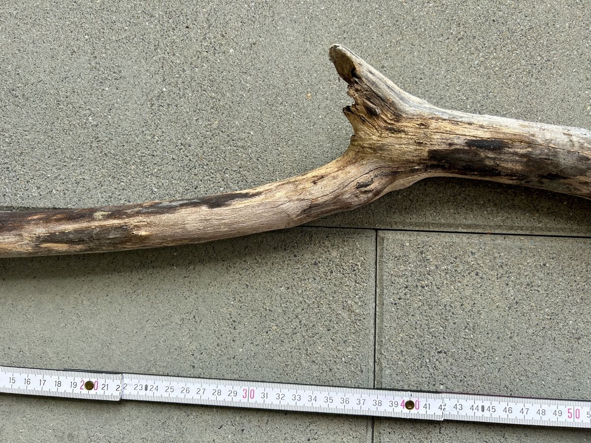 Articoli in legno: Schwemmholz Ast 102 cm lang – Nuovo (secondo la descrizione) da St. Urban venduto da uschi73 3