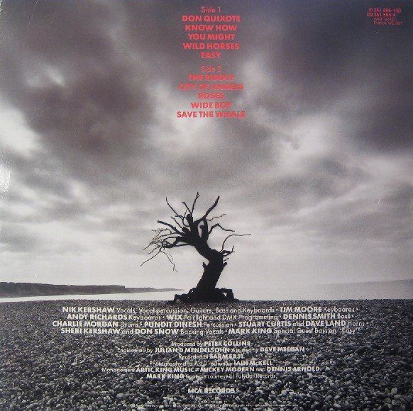 Dischi in vinile: Nik Kershaw The Riddle LP – Nuovo (secondo la descrizione) da Hellikon venduto da Jogi73 1