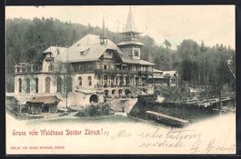 AK Zürich, Motiv vom Waldhaus Dolder
