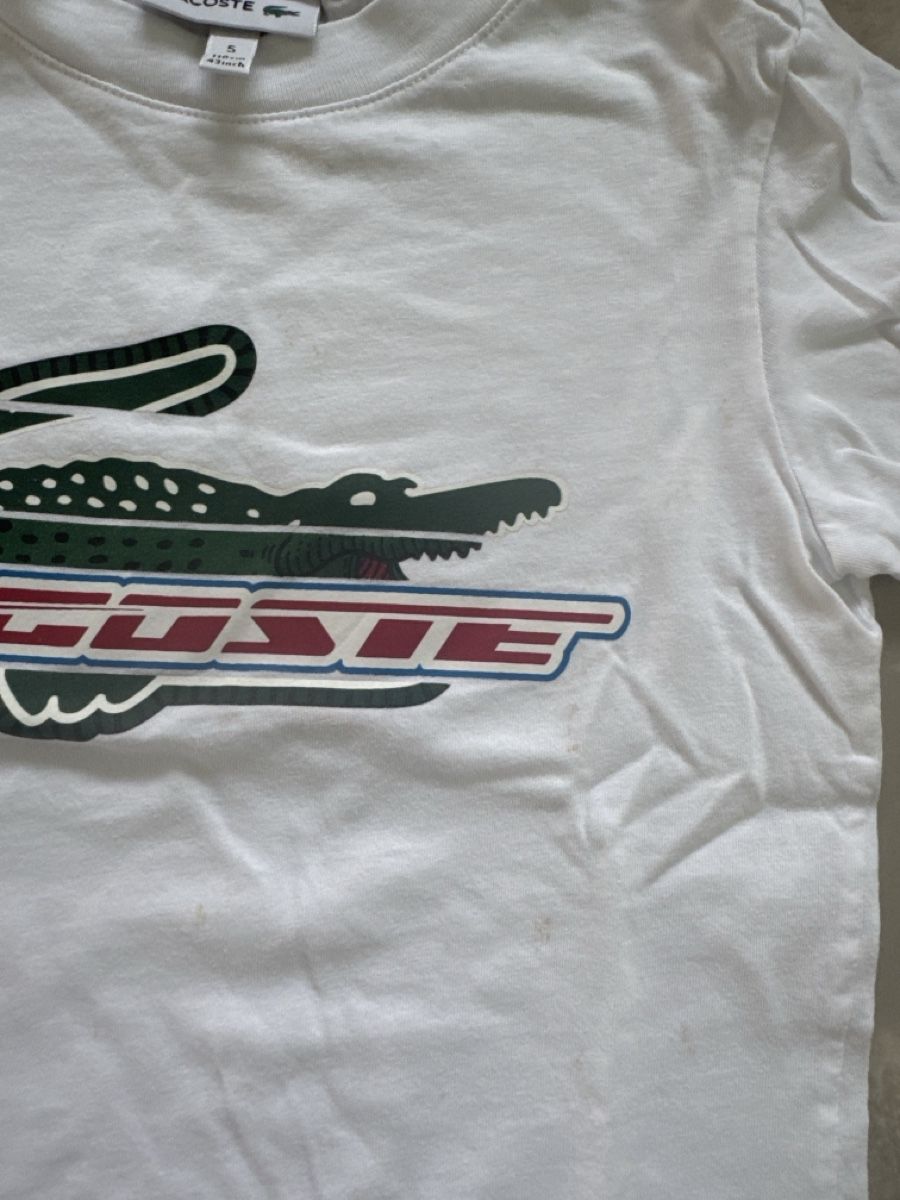 Lacoste Camicie, T-shirt & Polo: Tshirt Lacoste – Usato da Eglisau venduto da nil_wls5 3