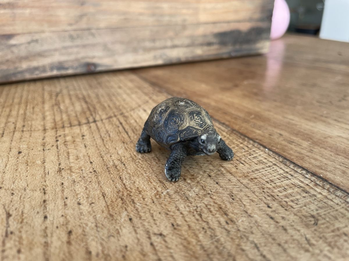 Schleich Giocattoli: Schleich Schildkröte – Usato da Bonstetten venduto da soleillle