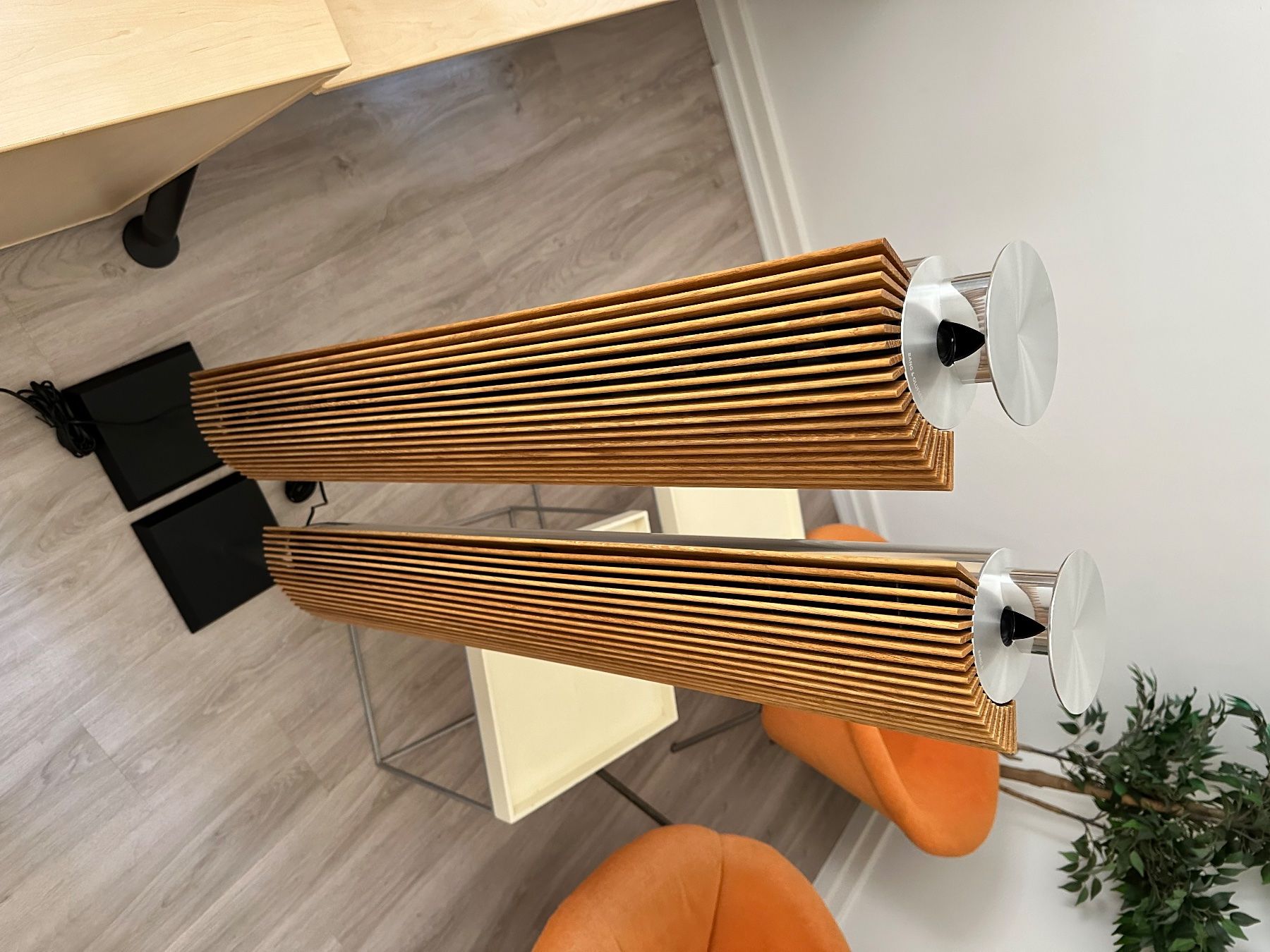 Bang & Olufsen Casse acustiche: Bang & Olufsen Beolab 18 – Usato da Rheinfelden venduto da CollectorChoice 1