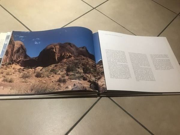 Libri: Landschaft der Urzeit 3 Sprachen D/E/F – Nuovo (secondo la descrizione) da Bergdietikon venduto da book-4-you 1
