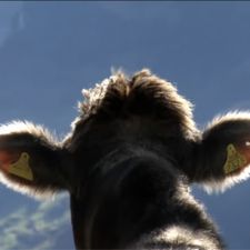 Profile image of isa_8nxt