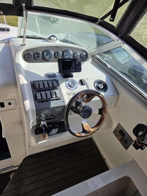 Sea Ray Barche: Motorboot inkl. Trailer Sea Ray 250 Sundancer – Usato da Neuenkirch venduto da rin_x9bc 1