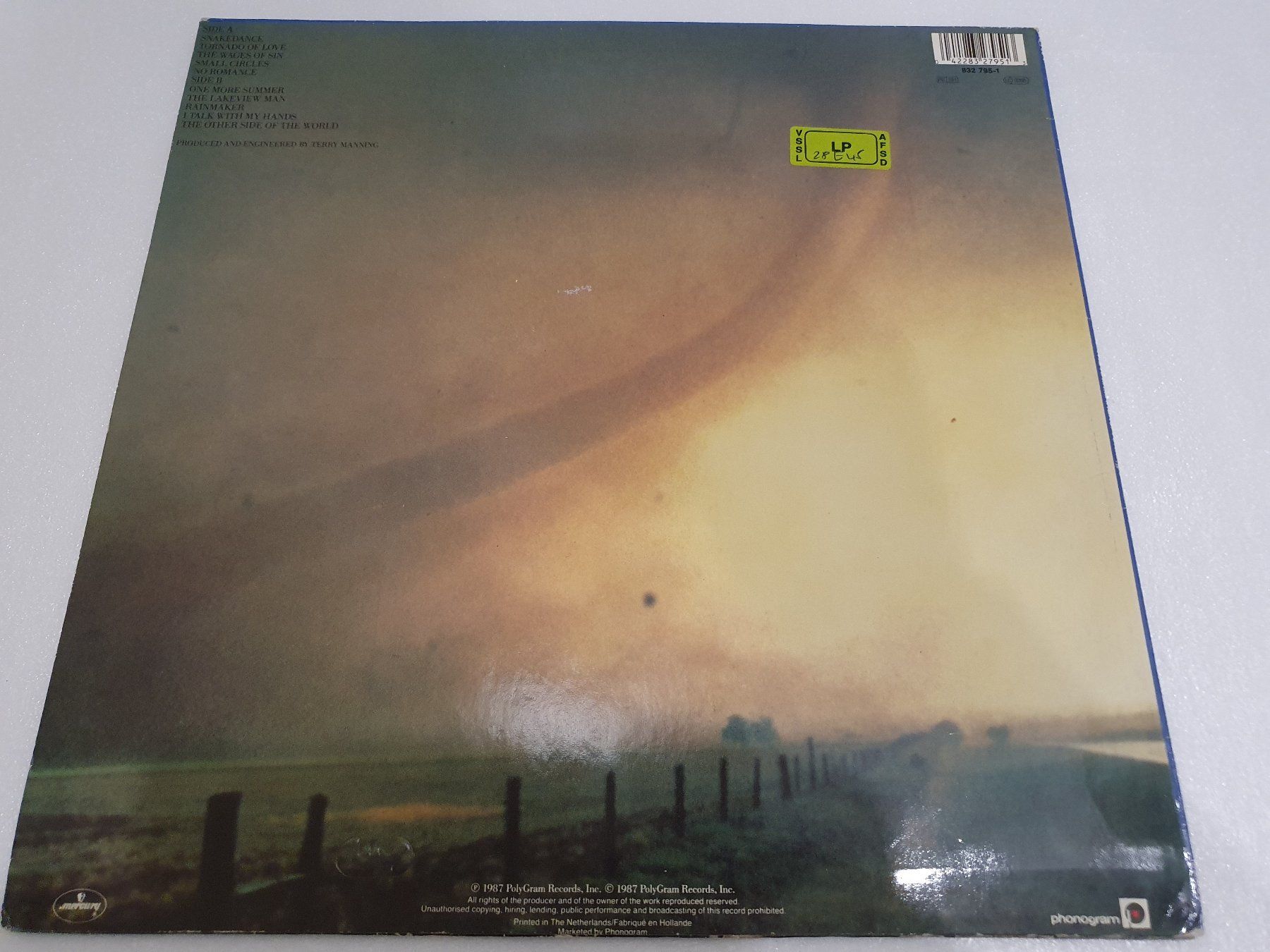 Dischi in vinile: The Rainmakers – Tornado – Usato da Uster venduto da Vinyl-Leidenschaft 2