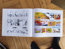 Calvin and Hobbes Kollektion Englisch