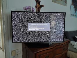 Samsung Fernseher/Bildschirm - UE32H5070AS