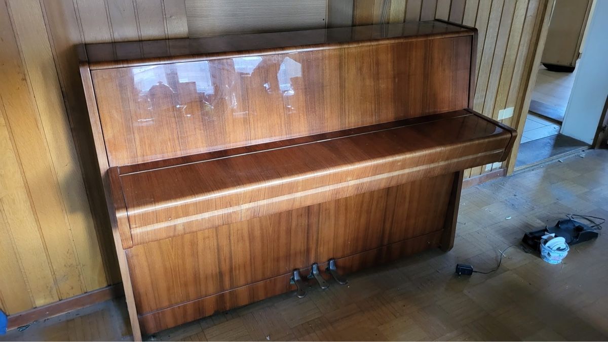 Musikinstrumente: Klavier Petrof – Gebraucht aus Düdingen von jur_7l9m 2