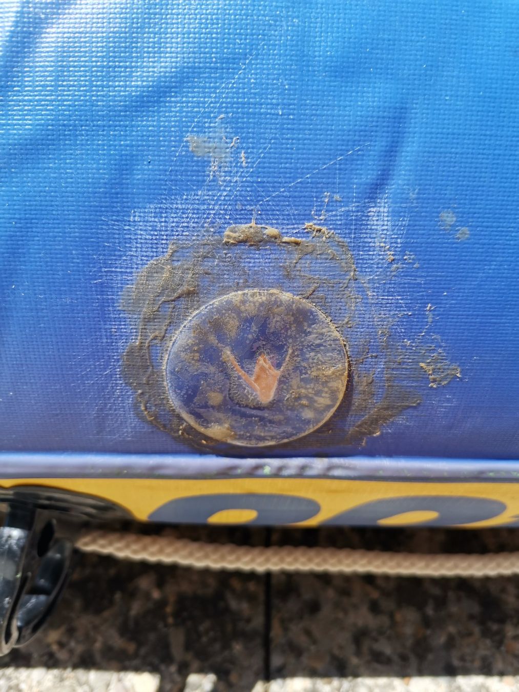 Boote: Schlauchboot für 4 Personen – Gebraucht aus Seon von acrr 4