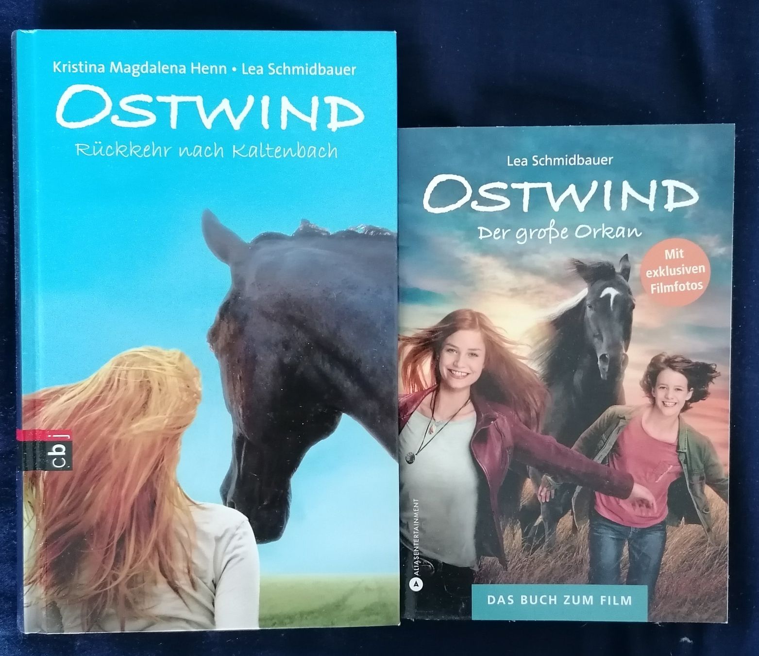 Libri: Ostwind Bücher – Usato da Schötz venduto da Gisre
