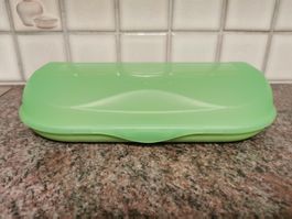 Tupperware Pausenbox/Bentobox grün