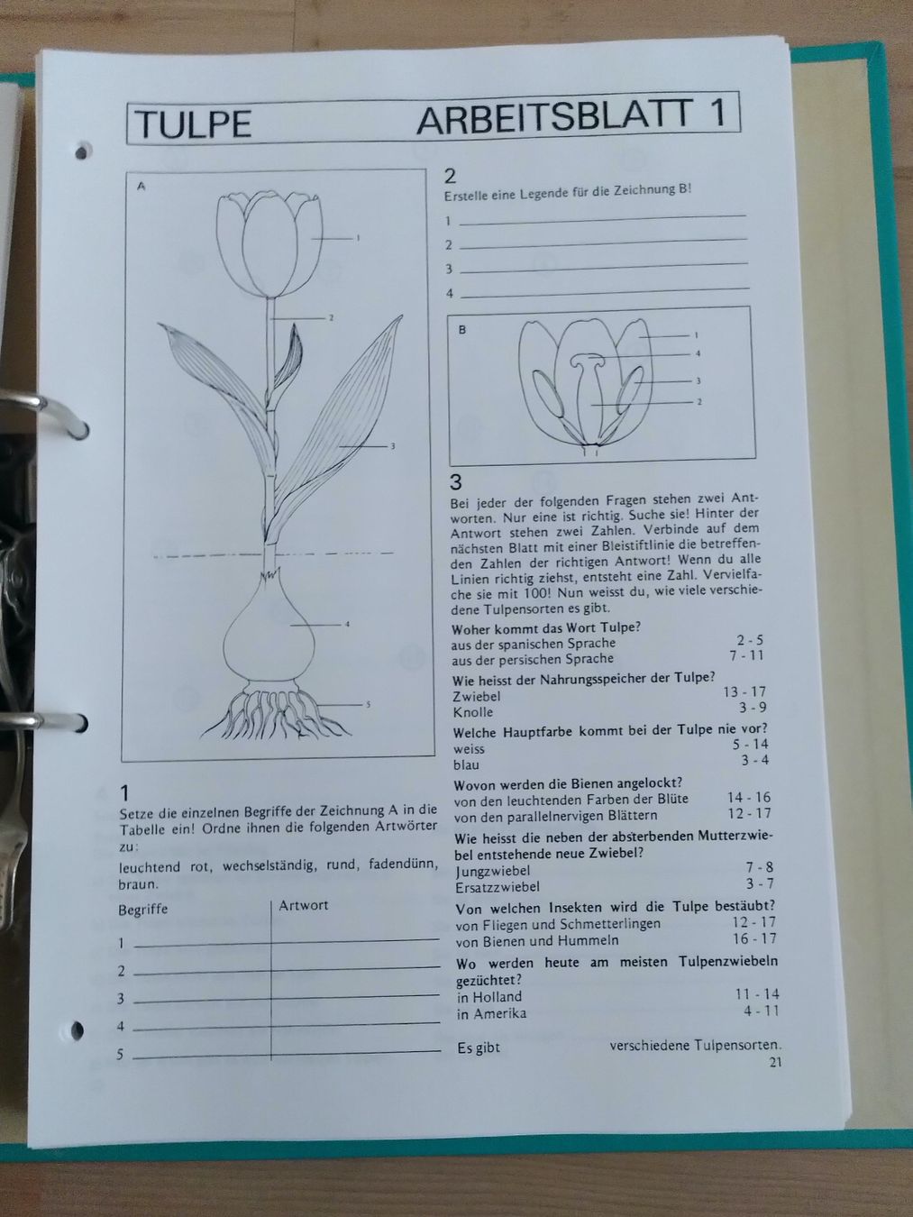 Libri: NATURKUNDE 1/ ORDNER MIT ARBEITSBLÄTTER – Usato da Brugg AG venduto da olamim 6