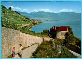 Lavaux  und Chateau de Glèrolles près Rivaz 1970