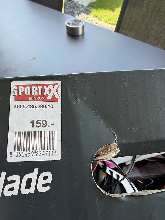 Pattini in linea & Pattini a rotelle: Rollerblade original Inlineskates Gr. 28-32 mit Schoner – Usato da Aesch LU venduto da Mgary 2