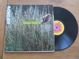 GRASS ROOTS POP CHRONIK 2LPS