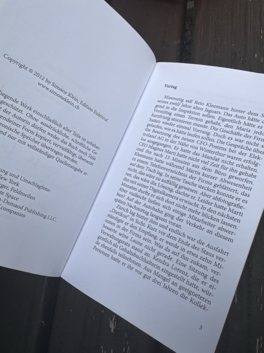Libri: Kriminalroman Tod eines Headhunters Simone Klein – Usato da Zürich venduto da Belisimo 4