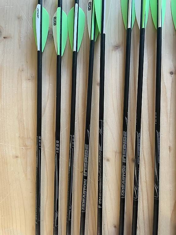Tiro con l'arco: Recurve Bogen Hyot – Usato da Zürich venduto da helenespoerri 2