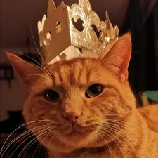 Profile image of xHellsKeksx