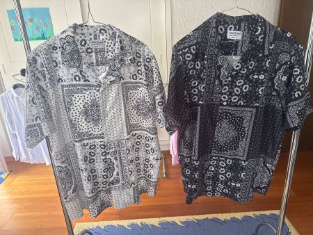 Sommerliche Hemden Gr L (126 cm) 2er Set