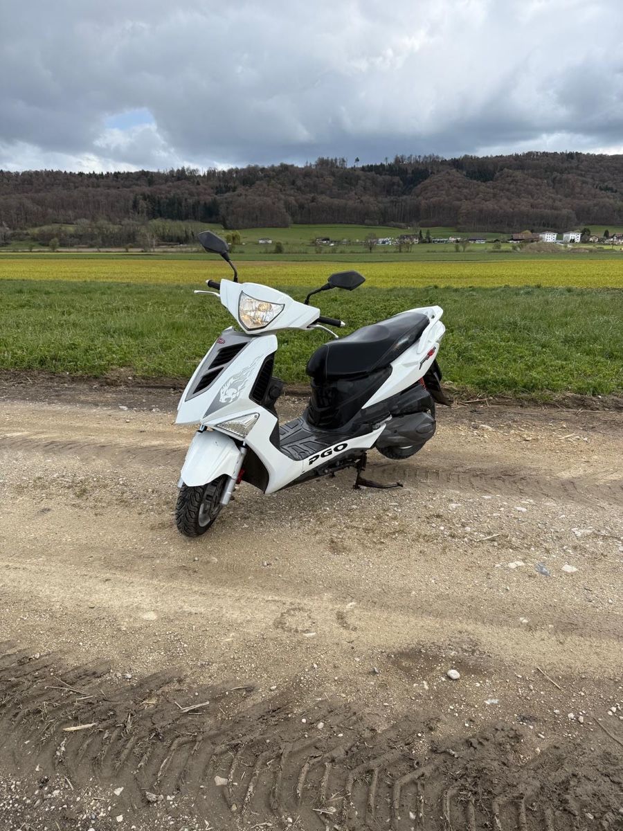Pgo Scooter: Roller – Usato da Gals venduto da markus9785