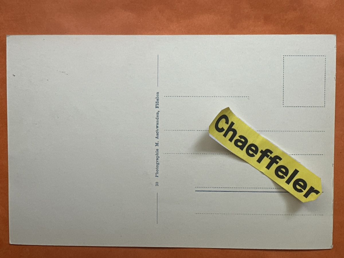 Cartoline postali: Alte Ansichtskarte Tell Denkmal Altdorf – Usato da Zürich venduto da Chaeffeler 1