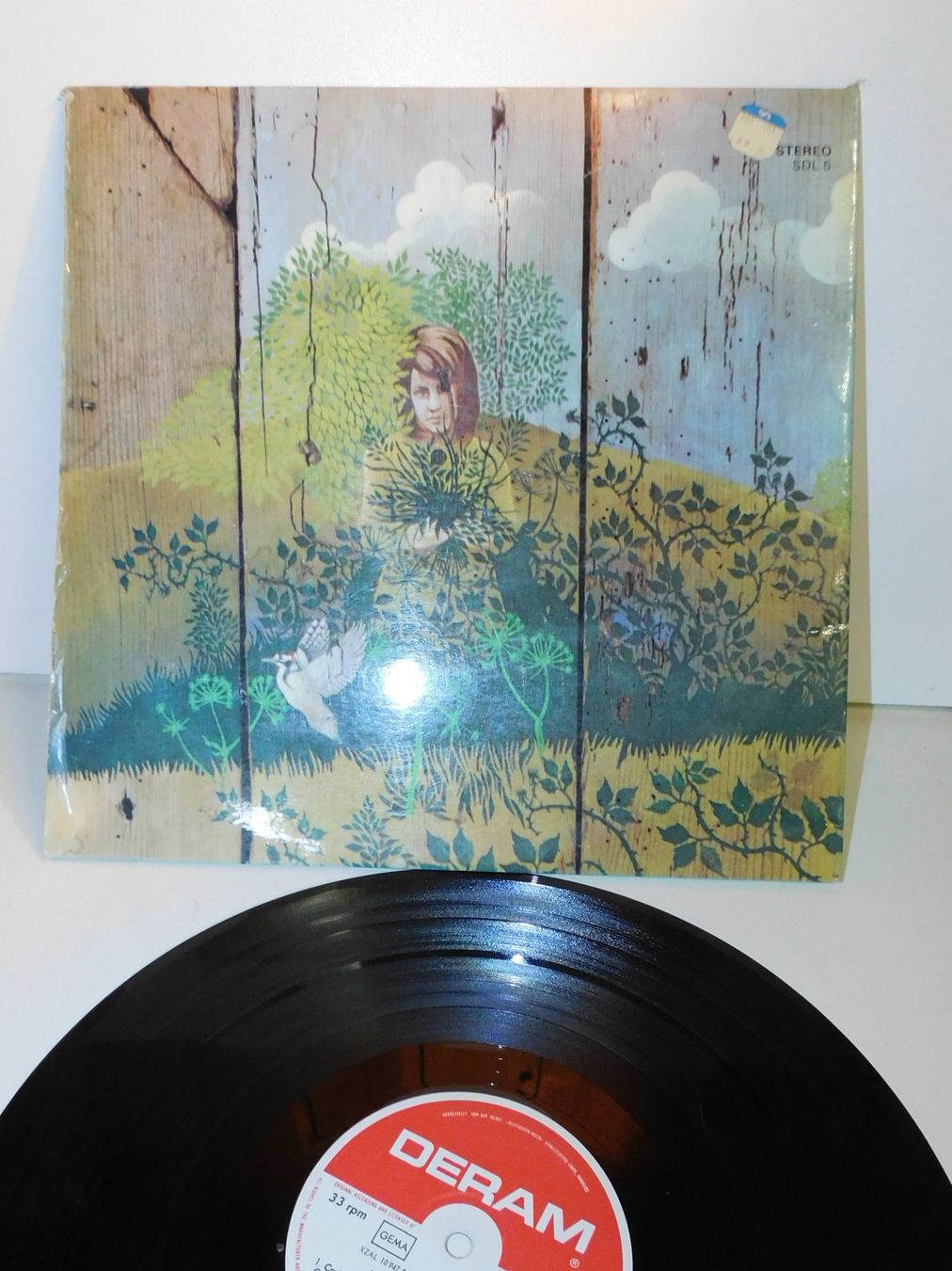 Dischi in vinile: LP - Chicken Shack - Imagination Lady - Schallplatte   LP – Usato da Sursee venduto da 76 1