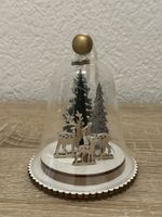 Winterliche Weihnachtsdeko Glasglocke mit Beleuchtung🌲🦌