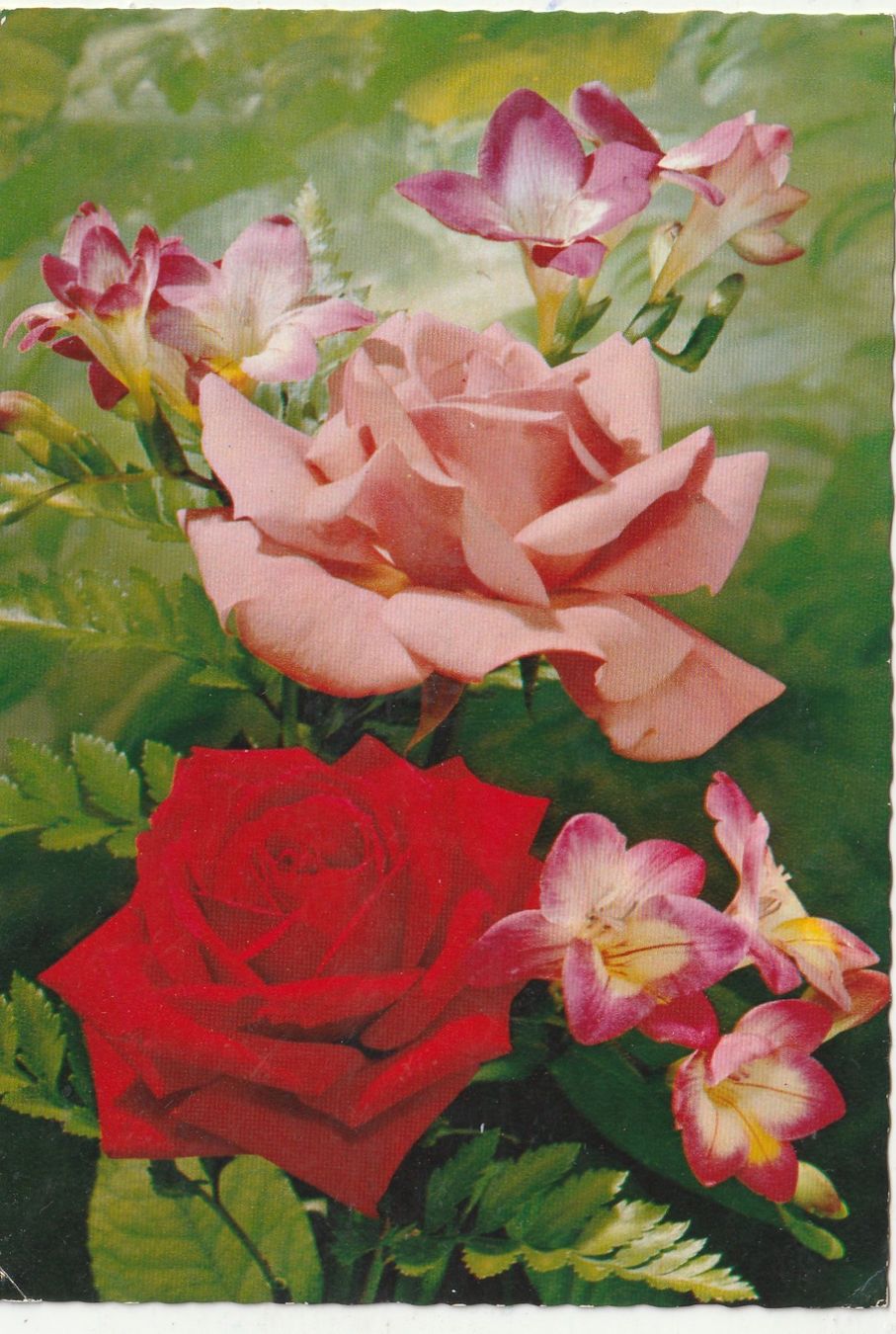 Cartes postales: Blumenkarte – D'occasion à Lumbrein par made02