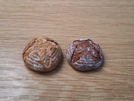 Holzofen Brote, Handgemacht