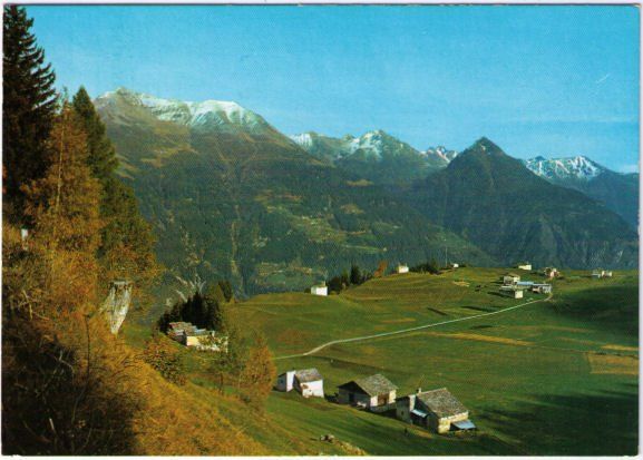 Cartoline postali: Selva – Usato da Binningen venduto da Mountainrider