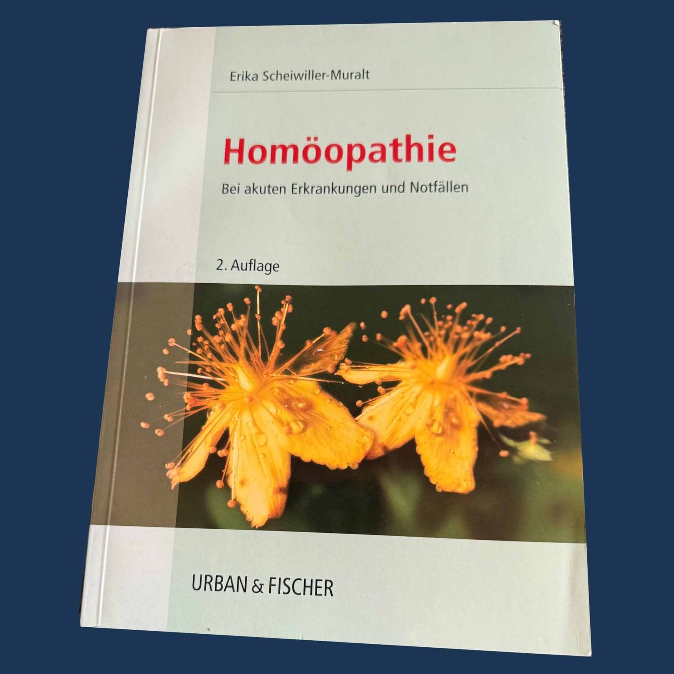Libri: Heilpraktiker Bibliothek – Usato da Bern venduto da gubaro 5