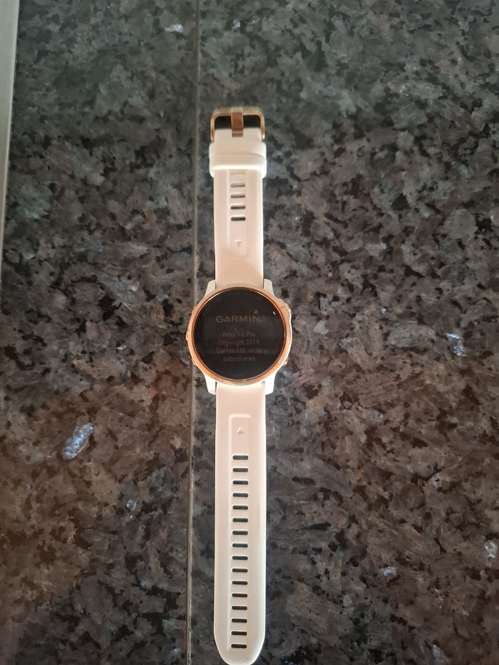 Garmin Smartwatch: Montre garmin Fenix 6s pro – Usato da St-Luc venduto da and_kr2m 1