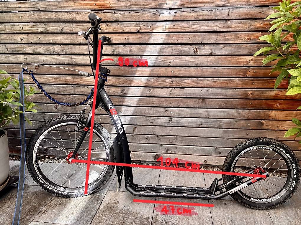 Kickboard: Dogscooter Trottinett Kostka – Usato da Heitenried venduto da sab_d8tp 3