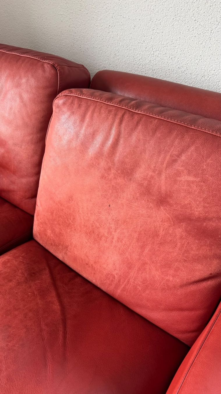 Natuzzi Divani: Natuzzi Designsofa – Usato da Winterthur venduto da tbishop 3