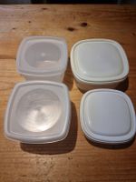 4 Vorratsdosen mit Deckel