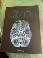 Sachbuch Das Gehirn von Hans Günter Gassen