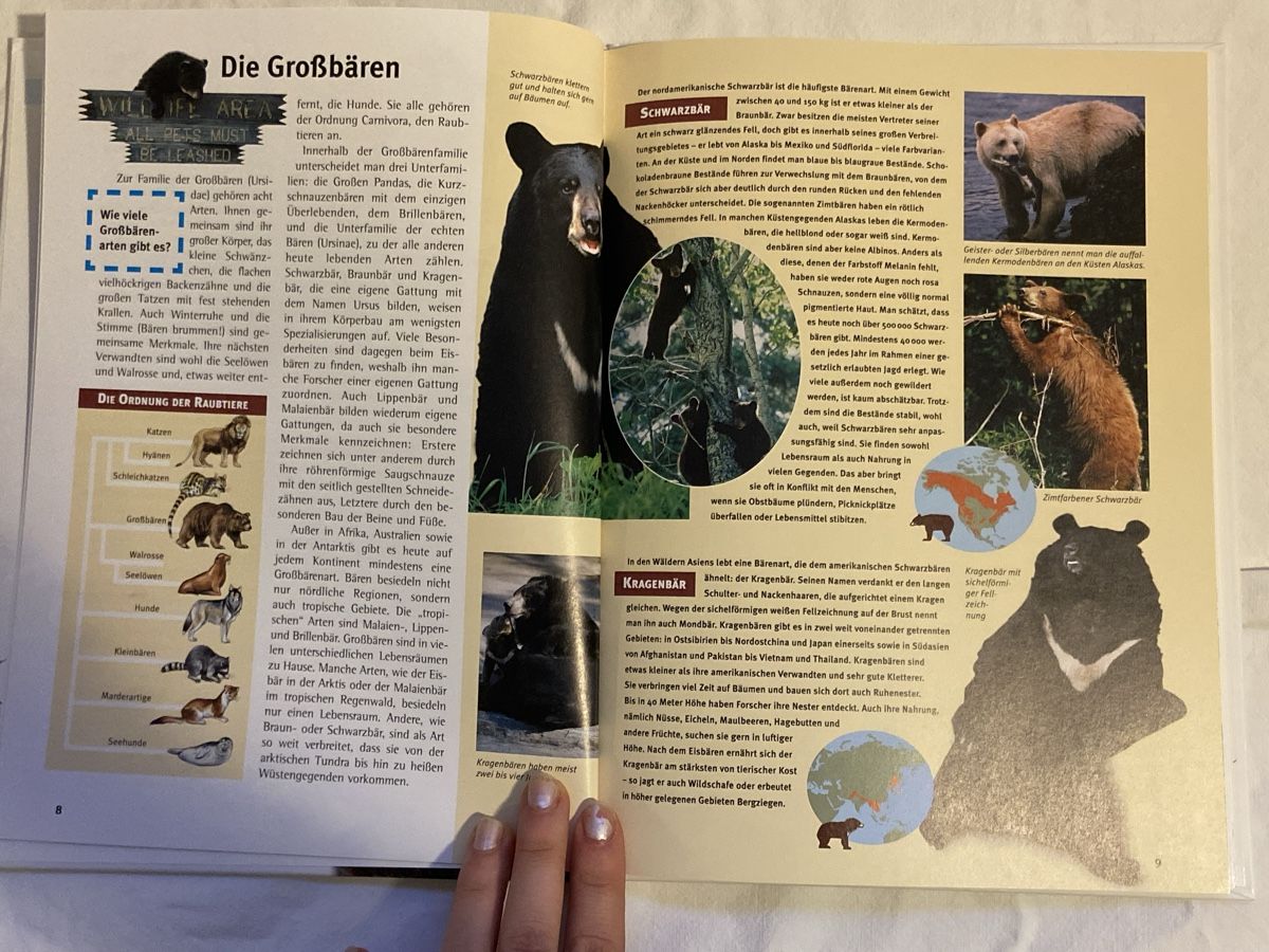 Libri: Was ist Was Bücher – Nuovo (secondo la descrizione) da Uetikon am See venduto da sarentio 2