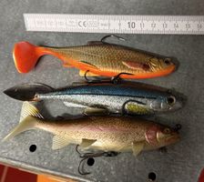 Lot de 3 leurres souples poisson