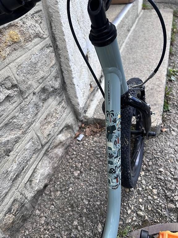 Biciclette: Vélo 2in1, 14" GreenTropical – Usato da La Chaux-de-Fonds venduto da que_mvf2 1