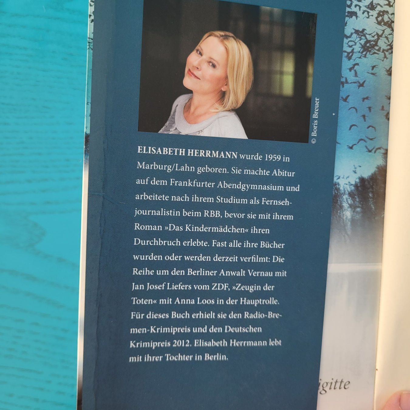 Libri: Elisabeth Herrmann - Der Schneegänger – Usato da SCHÜBELBACH venduto da CoKaHa 1