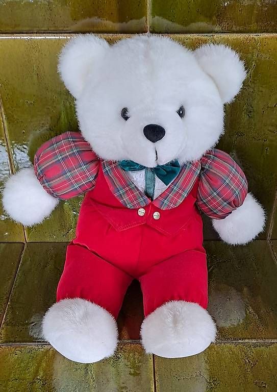 Spielzeuge: Teddybär – Gebraucht aus Untersiggenthal von Myrthamw