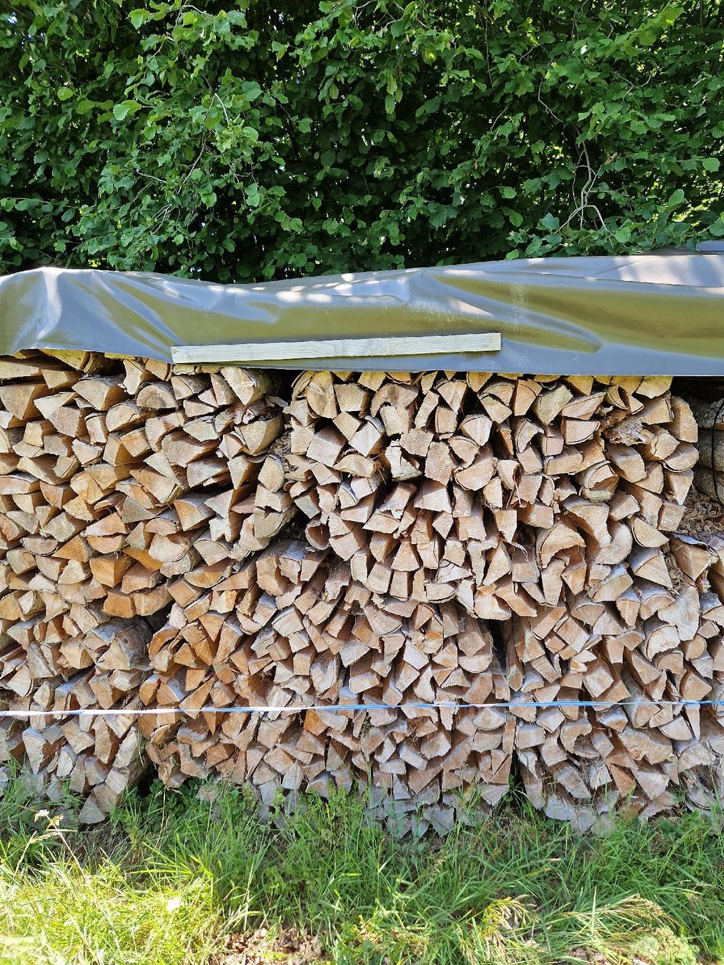 Articles en bois: Brennholz Fichte Tanne – Neuf (Voir description) à Hundwil par Vario312