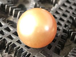 PERLE  (South Sea) Top Luster AAA   =  12.87mm / Burma
