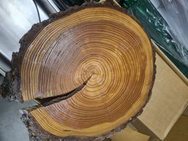Holzscheibe Baumstamm Platte gebraucht Zustand