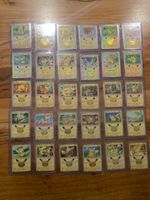 Pokémon Sammelkarten Pikachu Set 30 Karten neuwertig