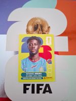Panini WM Sticker COD 20