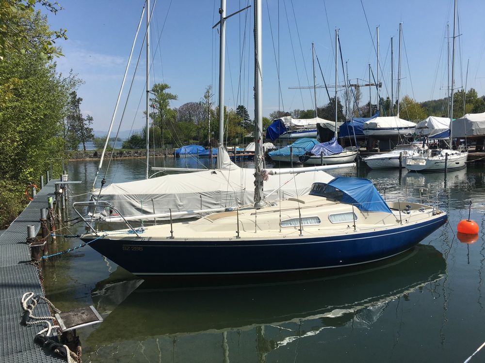 segelboot zürichsee kaufen