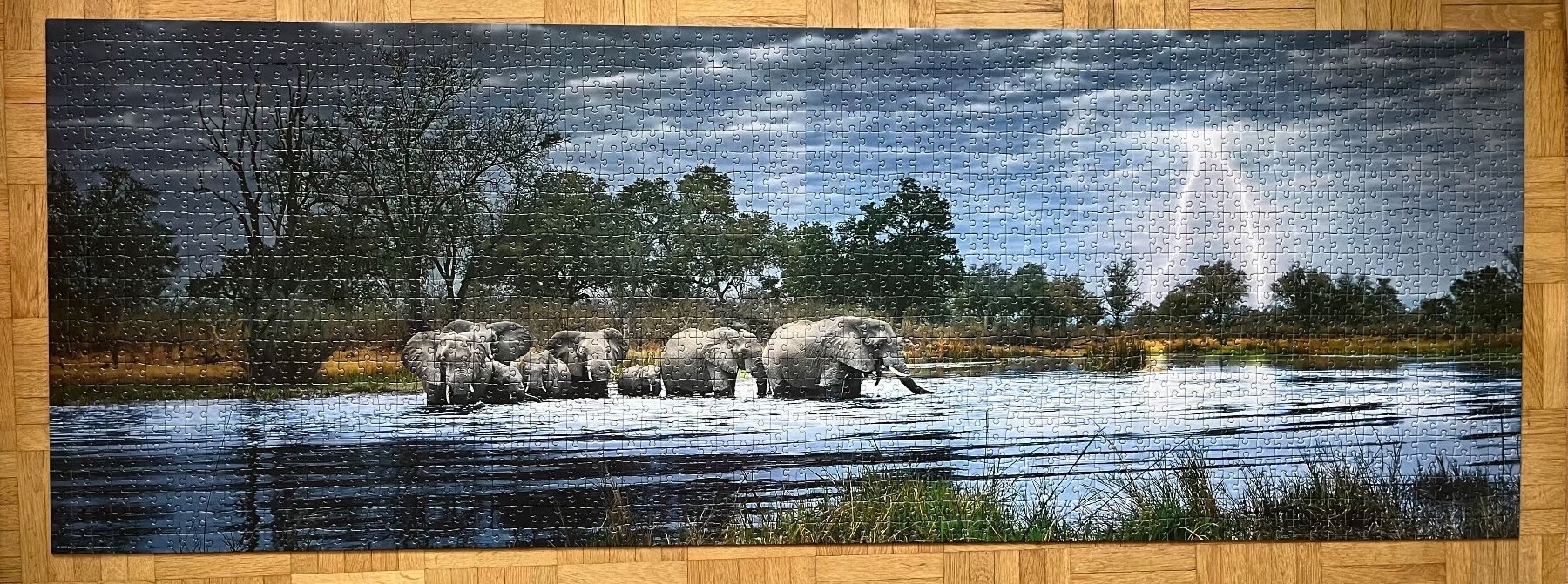 Heye Puzzles: Panorama Puzzle 2000 Teile Elefanten Gewitter – Gebraucht aus Zürich von Gurkis 1